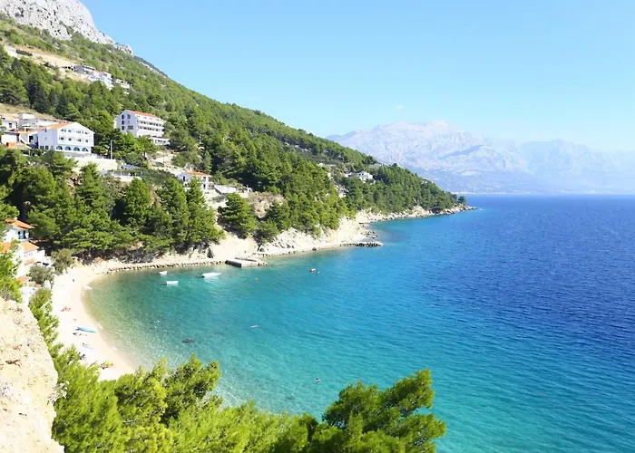 Zorana