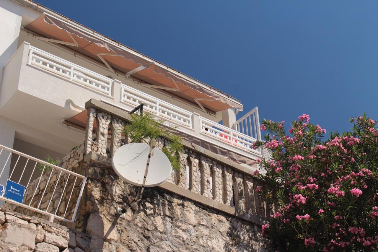 Apartment Zorana