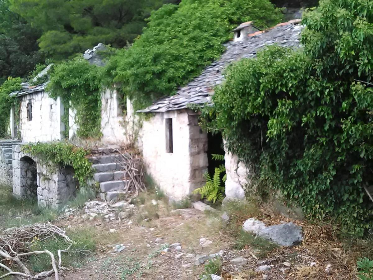 Zorana Apartment