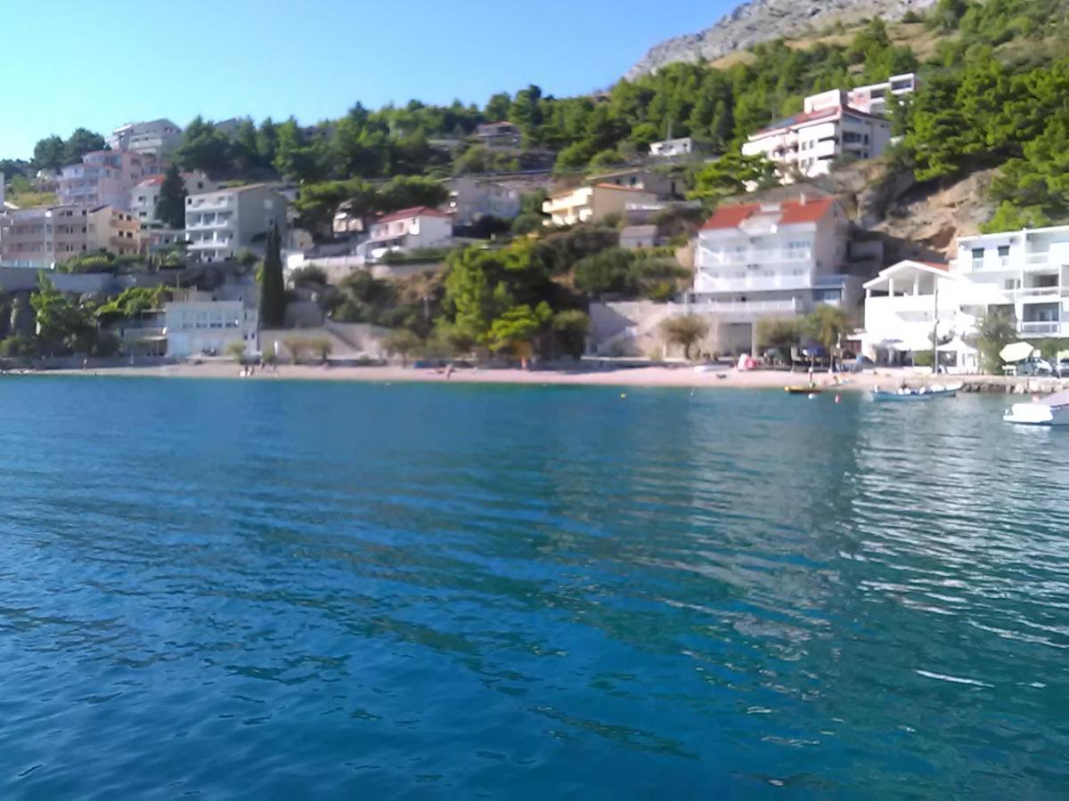 Zorana * Mimice