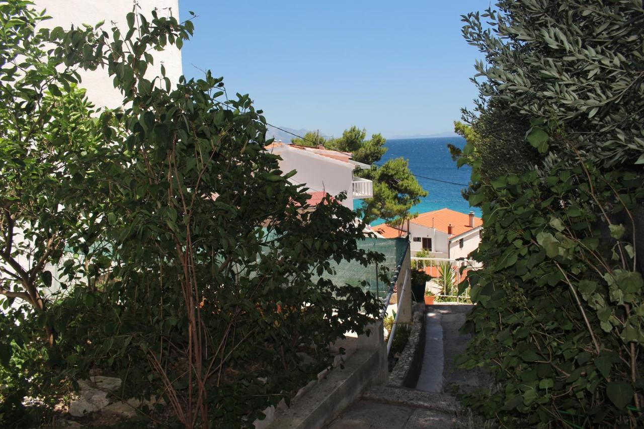 Apartment Zorana Mimice